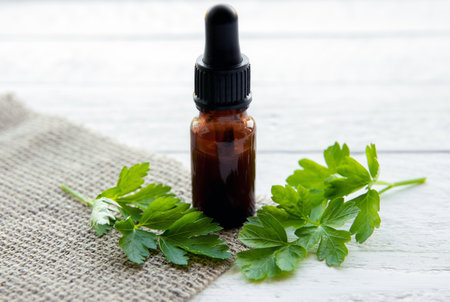 Side view of homemade herbal medicinal tincture made from parsley Petroselinum crispum. Green leaves...