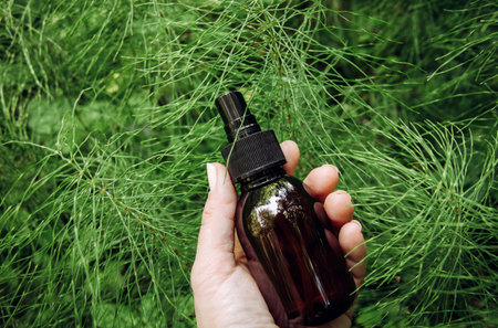 Woman hand holding natural herbal remedy called Equisetum arvense the field horsetail or common horsetail tincture glass bottle outdoors in forest. Plant branches growing around.の写真素材