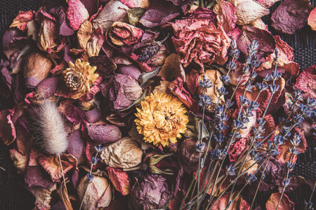 Flat lay view of various dried flower petals rose,lavender. Romantic, vintage background.の写真素材