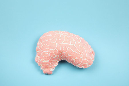 Brain health concept. Close-up view of a girlâ€™s hands holding a pink felt stuffed fabric brain against a light blue background indoors.