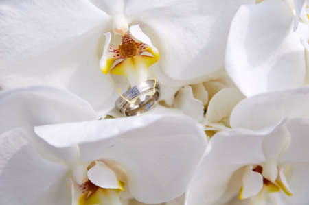 wedding bouquet with orchid and ringsの写真素材