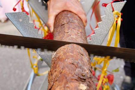 wedding game tree trunk sawの写真素材