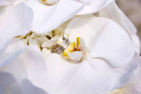wedding bouquet with orchid and ringsの写真素材
