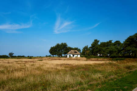 idyllic countryside landscape with reed house on isle of Hiddenseeの写真素材
