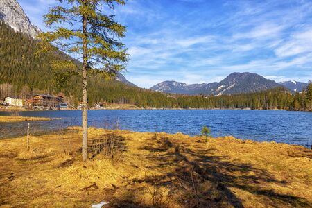 Mountain lake in the Bavarian Alps in spring and snow on the mountains with a spruce tree in the foreground.の写真素材