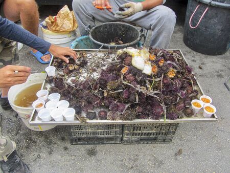 Sea urchins are exempted for consumptionの写真素材