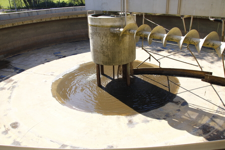 King's chair in the after-pool of a sewage treatment plantの写真素材