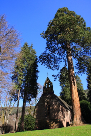 Historic English church in the spa park of Bad Wildbadの写真素材