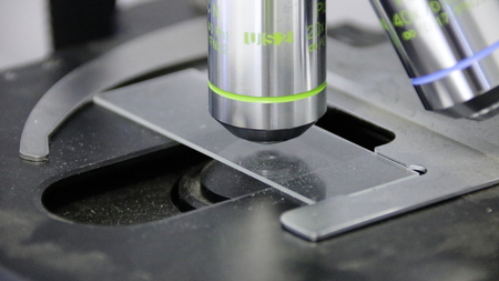 Close-up of the object table of a microscope