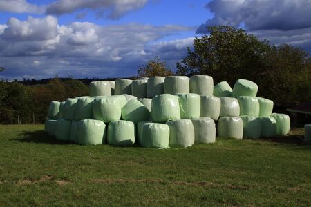Hay bales that are packed with foil store in a meadowの写真素材
