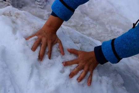 2 hands reach into a pile of snowの写真素材