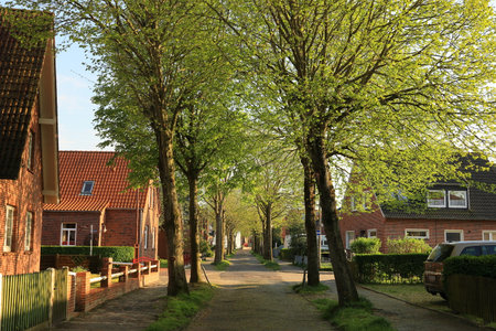 Avenue on a street on the island of Borkumの写真素材