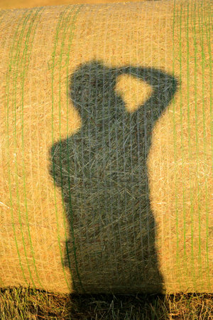 Photographer casts a shadow on a hay bale while taking photos