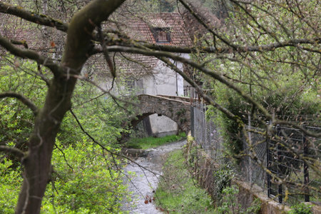 Bridge over the Kreuzbach in Iptingen photographed through a few branchesの写真素材