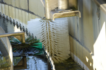 Brush for cleaning the drainage channel in the secondary clarification tank in a sewage treatment...