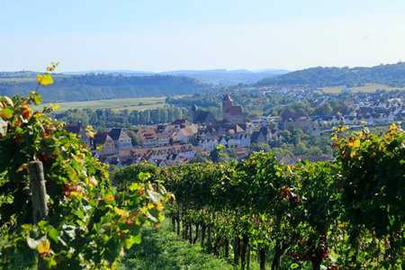 View over a vineyard to the town of Besigheim am Neckarの写真素材