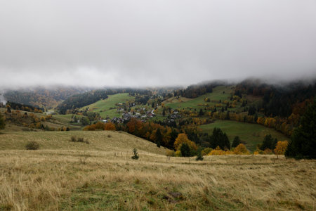 Beautiful autumn forest near Todtmoos in the Black Forestの写真素材