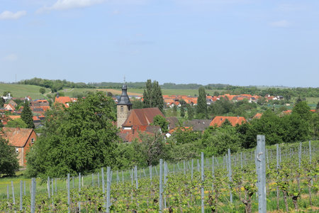View of the town of Pleisweiler in Rhineland-Palatinate