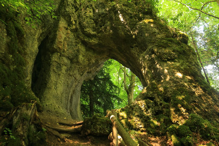 Rock gate in Franconian Switzerland near GÃ¶Ãweinsteinの写真素材