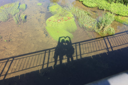 A couple on the bridge over the river in the park.の写真素材