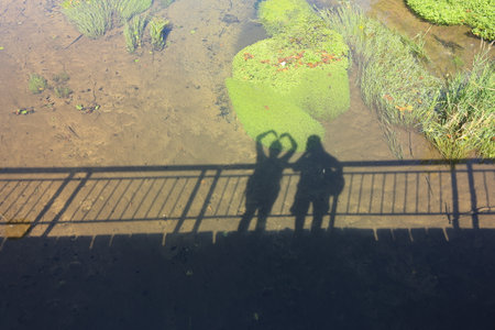 Shadow of a loving couple on the bridge over the pond. View from above.の写真素材