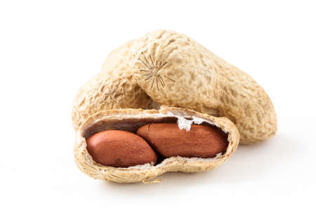 Dried peanuts in closeup on white background