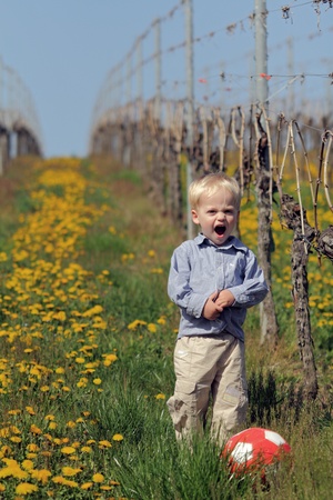 boy playing in vineyardの写真素材
