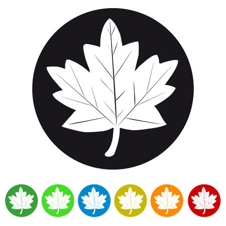 Leaf Web colorful Iconのイラスト素材