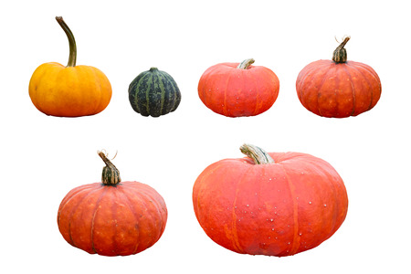 Set Of Different Pumpkins - Isolated On White Background - Clipping Path Includedの写真素材