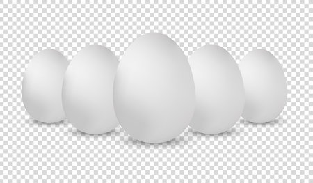 White Realistic Chicken Eggs - Vector Illustrations Isolated On Transparent Backgroundのイラスト素材