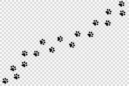 Animal Paw Track - Black Vector Icons Isolated On Transparent Backgroundのイラスト素材