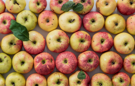 Apple background.