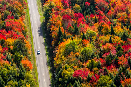 Photo arienne d'une route de campagne en automne. - Aerial photo of a country road at fall. Quebec, Canada.の写真素材