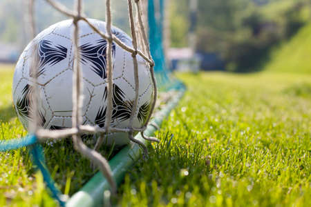 soccer ball on green grassの写真素材