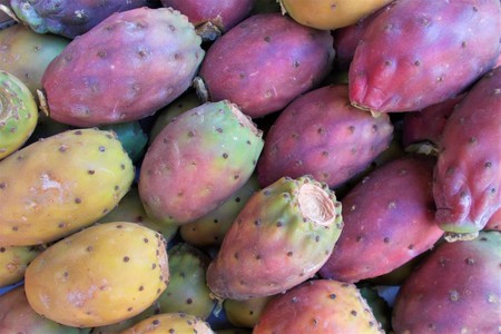 Prickly Pears for saleの写真素材