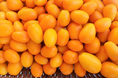 Winter fruits: kumquats (Fortunella spp.)の写真素材