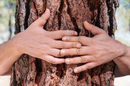 Foreground of a man's hands hugging the trunk of a tree. Environmental concern conceptの写真素材