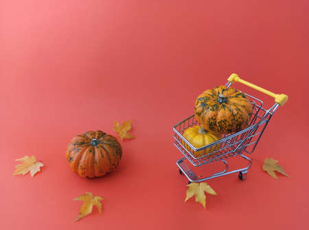 Halloween. Buying pumpkins for a holiday. the concept of shopping. A small shopping basket with pumpkinsの写真素材