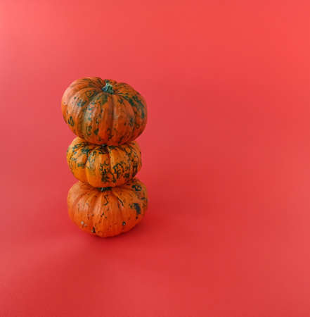 Halloween Celebration Concept. A balance of orange pumpkins on a red background.の写真素材