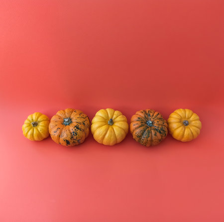 Preparation for the celebration of Halloween. The pumpkins are in a row on a red background.の写真素材