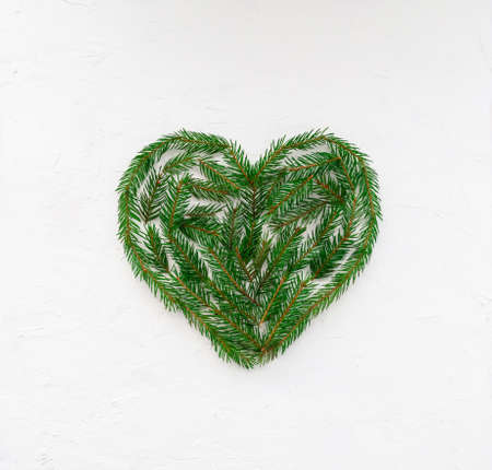 Green heart made of spruce twigs on a white background.の写真素材
