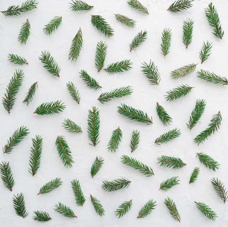 Twigs of pine needles on a white background, christmas and new year celebrations