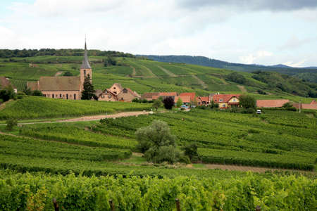 View from Vosges to village in France - Alsace. Route des vines. View from Vosges to village in France - Alsace. Route des vines.