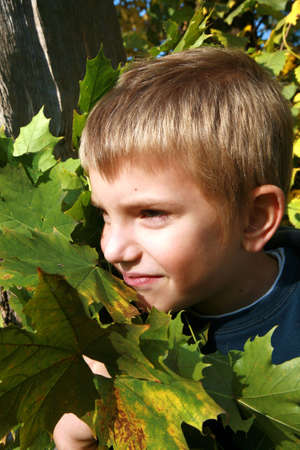 Little, caucasian, blonde boy with leaves. Autumn park.の写真素材