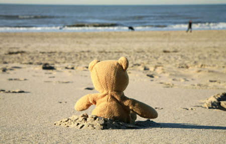 Lonely teddy bear lost on the beach. Left children's toy.の写真素材
