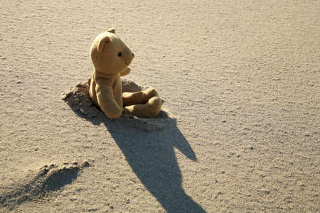 Lonely teddy bear lost on the beach. Left children's toy.の写真素材