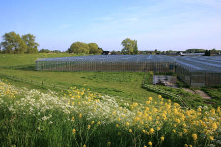 Greenhouses country business  typical Dutch landscape, Netherlands.の写真素材