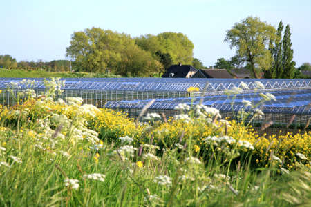Greenhouses country business  typical Dutch landscape, Netherlands.の写真素材