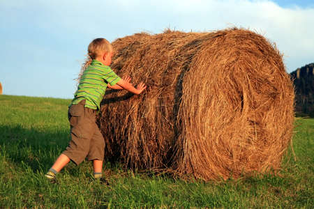 Little  boy on the meadow. Play on hay. Summer country  Pasterka, Polandの写真素材