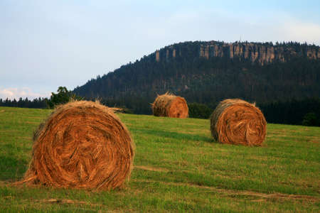 Meadow after haymaking on Pasterka village, late summer. Seasonal work on Polish country, Poland. Famous Table ( Stolowe ) Mountains, Nationality Park.の写真素材